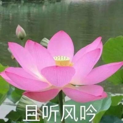 【境内疫情观察】广东新增9例本土病例（6月10日）